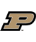 team-logo-pur