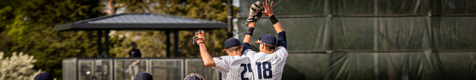 Illinois Baseball Report